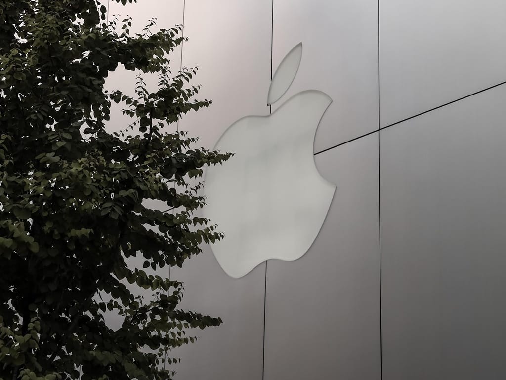 The Apple Duo Puts a Private Computer in Your Pocket